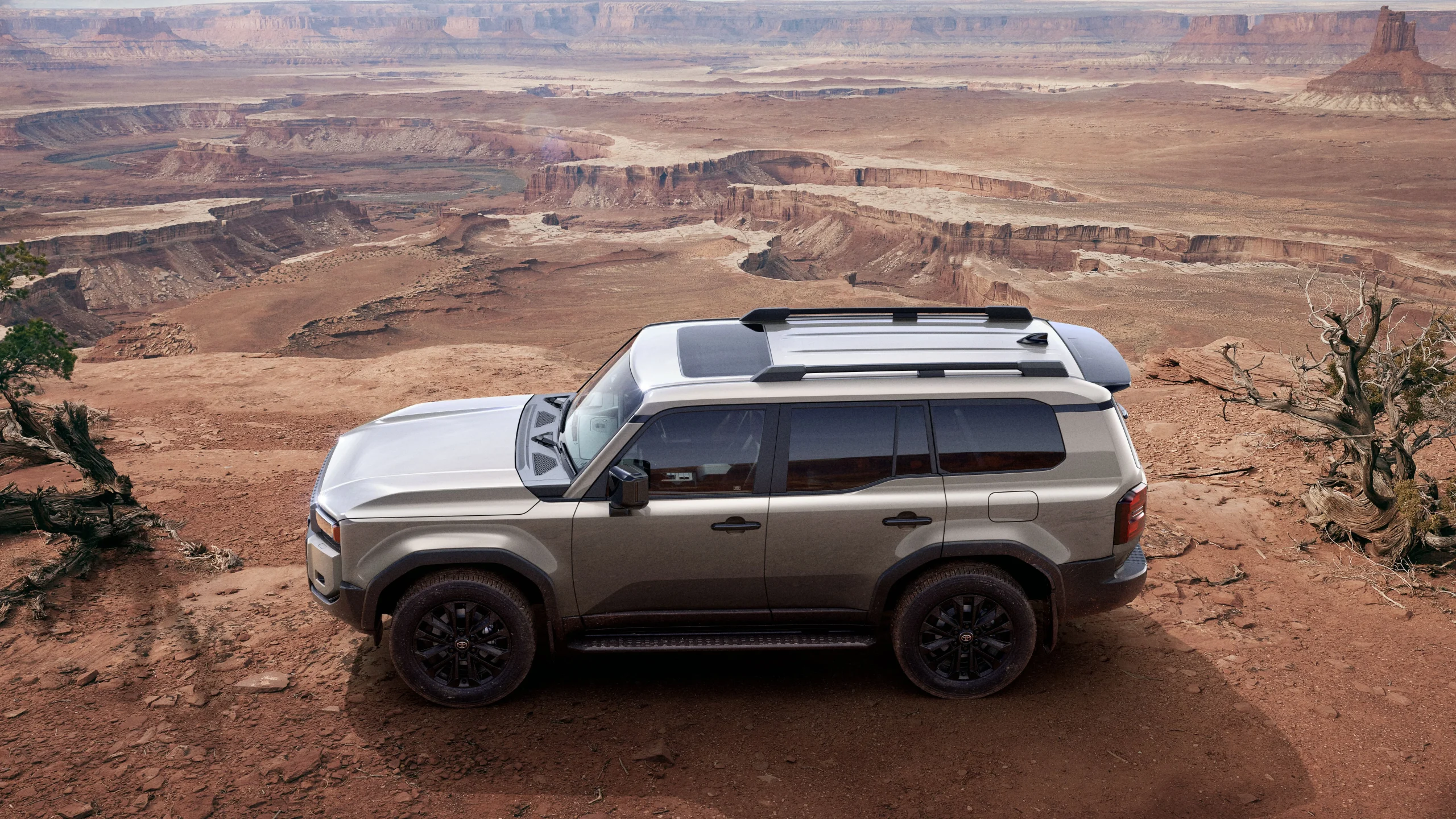 Land Cruiser 250 Prado